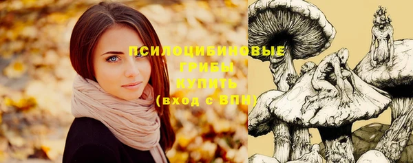 кокс Абаза